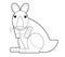 Cartoon sketch drawing australian scene with happy and funny kangaroo on white background - illustration