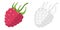 Cartoon sketch scene fruit raspberry looking white background illustration