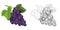 Cartoon sketch scene vegetable grapes illustration