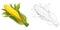 Cartoon sketch scene vegetable looking corn illustration