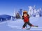 Cartoon skier in the snowy mountains with a hut