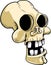 Cartoon skull with big teeth