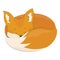 Cartoon sleeping fox. A lovely stylized fox is resting. Vector illustration for children. Wild animal.