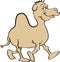 Cartoon smiling camel walking.