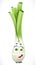 Cartoon smiling green onions isolated on white background