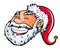 Cartoon smiling Santa head.