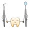 Cartoon smiling tooth holds hands with dental probe and mouth mirror