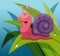 Cartoon Snail