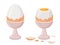 Cartoon soft or hard boiled eggs. Eggs in egg holder and eggshell, tasty breakfast meal flat vector illustration on white