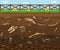 Cartoon Soil with Dead Animals Card Background. Vector