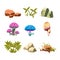 Cartoon Stones, Mushrooms and Bushes Set Vector