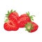 Cartoon strawberry. Fresh vitamin fruit. Juicy sliced fruit. Drawing for children. Illustration on white background.