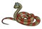 Cartoon striped snake