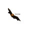 Cartoon style icon of flying fox. Cute fruit bat with text for different design