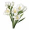 Cartoon-style White Flowers On White Background With Religious Symbolism