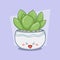 cartoon succulent plant with cute pot