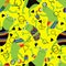 Cartoon summer print with rainbow lgbt frogs seamless pride animals pattern for wrapping and fabrics and party