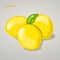 Cartoon sweet lemon on grey background. Vector Illustration.