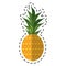 Cartoon sweet pineapple tropical fruit icon