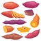 Cartoon sweet potato types, sliced yam or batat. Baked sweet red potatoes, healthy hot fall vegetable snack. Natural