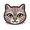 Cartoon tabby cat face