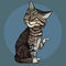 Cartoon tabby cat gracefully raised its paw