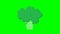 Cartoon talking broccoli loop with alpha channel. Vegetable animation on chroma key green or transparent background.