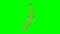 Cartoon talking green pea loop with alpha channel. Vegetable animation on a transparent background.