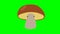 Cartoon talking mushroom loop with alpha channel. Vegetable animation on chroma key green or transparent background.