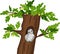 Cartoon tawny owl Strix aluco sitting in oak tree hollow