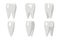 Cartoon Tooth Rotation Animation Frames 3d Stomatology Dental Poster Flat Design Isolated Icon Template Transperent