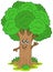 Cartoon tree character