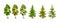 Cartoon tree at different times of year. Pine and spruce seasonal tree for game scenes. Green planting trees for garden forest