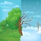 Cartoon tree split in half on a divided summer and winter background. Part with lush green foliage and leafless part with snow.