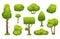 Cartoon trees and bushes. Green plants with flowers for vegetation landscape. Nature forest tree and hedge bush vector set