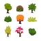 Cartoon Trees, Leaves and Bushes Set Vector