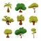 Cartoon Trees, Leaves and Bushes Set Vector