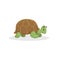 Cartoon trendy design african turtle. Sleeping jungle tropical animal. Wildlife and zoo vector education