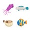 Cartoon trendy design different sea and ocean animals set. Squid, striped color fish, blowfish and gray dotted fish.