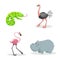 Cartoon trendy style african animals set. Chameleon with big tonque, ostrich, flamingo and hippo. Closed eyes and cheerful mascots
