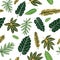 Cartoon tropical leafy vector seamless pattern.