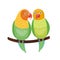 Cartoon tropical lovebird parrot wild animal bird vector illustration wildlife zoo couple nature vivid.
