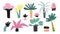Cartoon tropical palm tree set. Hand drawn summer modern stylized plant collection, decorative colorful jungle elements, abstract