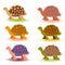 Cartoon turtle. Six. Multicolored little turtles, modern colors. Vector set. A collection of cute friendly aquatic and terrestrial