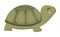 Cartoon turtle. Vector illustration of a green turtle. Drawing animal for children. Zoo for kids.