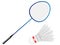 Cartoon Vector Badminton Racket with Feather