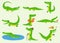 Cartoon vector crocodiles characters different green zoo animals. Cute crocodile funny animal with bath toy and big