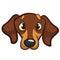 Cartoon Vector Illustration of Cute Purebred Dachshund Dog. Dog head icon.