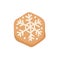 Cartoon vector illustration Ginger bread Cookie Snowflake. Hand