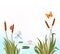 Cartoon vector illustration of reeds and flying insects, waterlily on lake